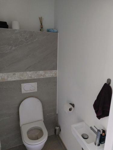 a small bathroom with a toilet and a sink at Vida Verde in Valkenburg