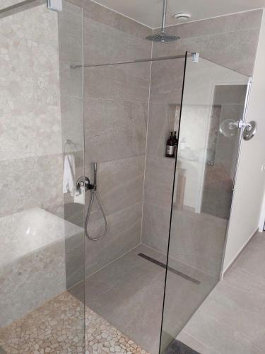 a shower with a glass door in a bathroom at Vida Verde in Valkenburg