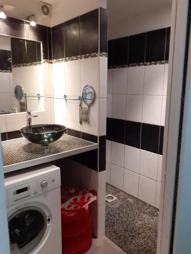 une salle de bain avec un lavabo et une machine à laver dans l'établissement T3 duplex calme à la Timone, à Marseille