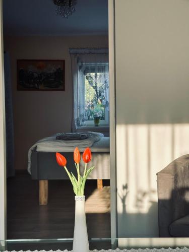 Fotografie z fotogalerie ubytování Pod Dębem v destinaci Jugów