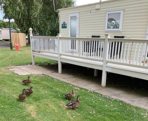 Ein Garten an der Unterkunft Springs Southview Skegness
