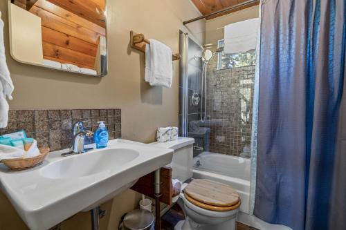 a bathroom with a sink and a toilet and a shower at A-Frame of Mind - Nice cozy cabin great view to the outdoors and peaceful in Big Bear City