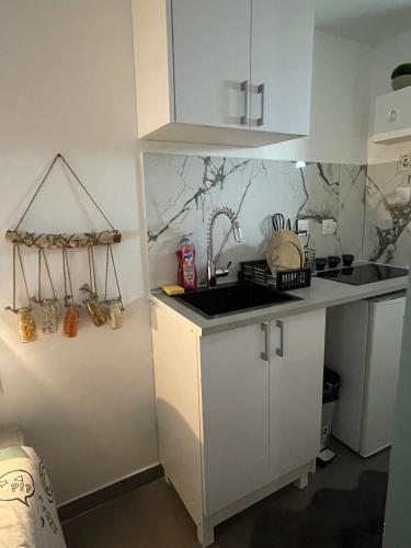 une cuisine avec un évier et un plan de travail dans l'établissement Paris studio, à Bagnolet