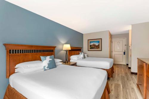 two beds in a room with blue walls at Best Western Denver Southwest in Lakewood