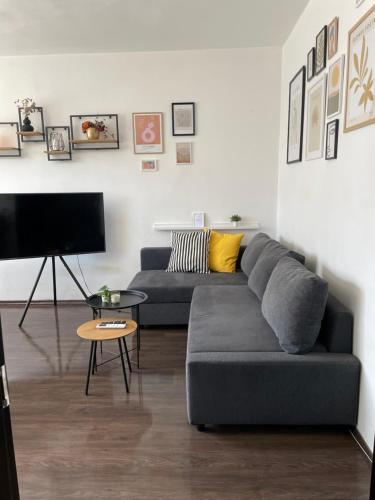 Cozy APT Free Parking Wi-Fi Netflix