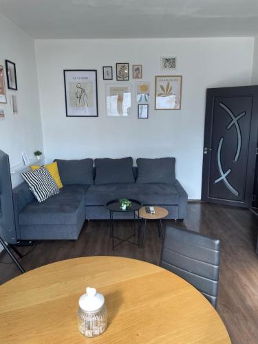 Posezení v ubytování Cozy APT Free Parking Wi-Fi Netflix