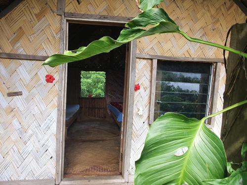 a doorway to a house with a large green plant at island paradise bungalows in Lankourou