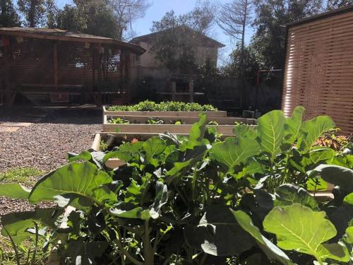 Fotografie z fotogalerie ubytování Encantadora casa para 12 con piscina v destinaci Guanaqueros