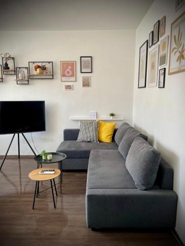 Posezení v ubytování Cozy APT Free Parking Wi-Fi Netflix