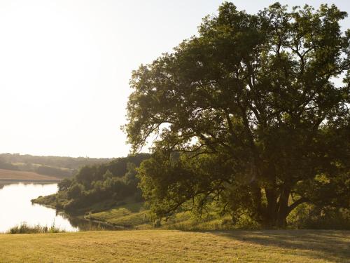 a tree sitting in a field next to a river at Peyrusse Peace Pool & Charm in Peyrusse-Grande