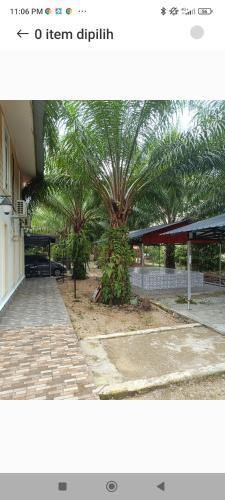 Gallery image of Restu ibu in Kampong Ayer Terjun