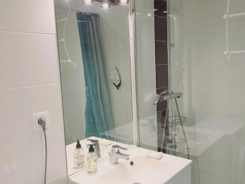 une salle de bain avec un lavabo et une douche avec un miroir dans l'établissement Appartement 4 pièces rénové - 9 pers, Ascenseur, Balcon, Parking - Pied des pistes - FR-1-689-136, à Villard-de-Lans