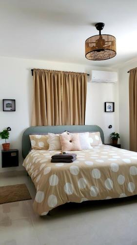 una camera da letto con un letto grande in una stanza di King Bed with AC, Wifi and Gym, No Blackouts, Garden Towers I, Santiago RD a Santiago de los Caballeros