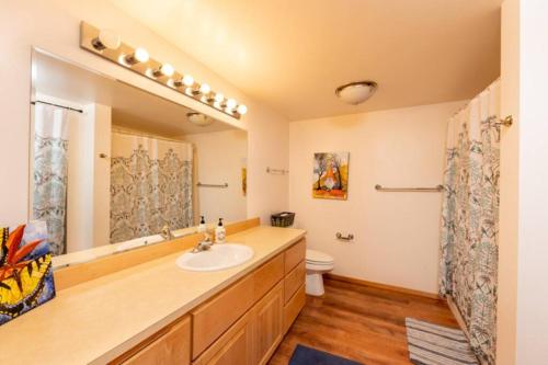 a bathroom with a sink and a toilet at Red Roof Lodge - Leavenworth in Leavenworth