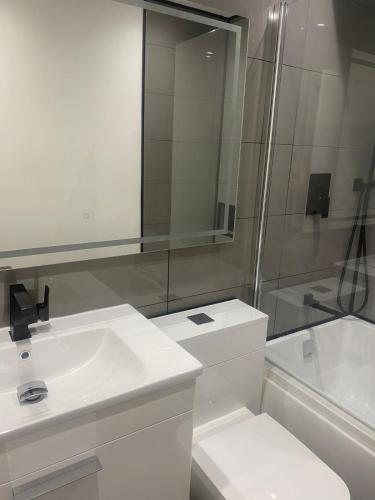 a bathroom with a toilet and a sink and a shower at Lovely Modern studio flat with jacuzzi bath free parking in Stanwell