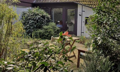 a garden with a bench in front of a house at Atelierhaus Tannenweg in Worpswede