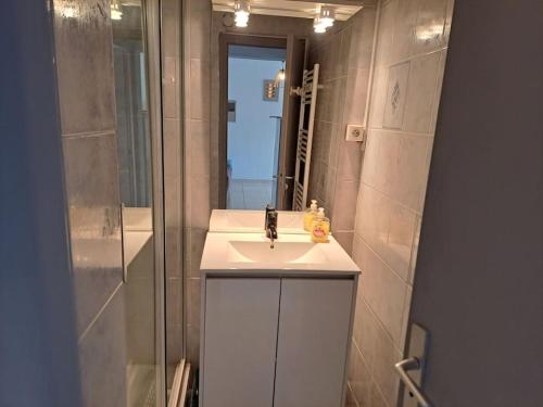 A bathroom at Le Bosquet, superbe rez de jardin, parking, clim,650m plage Grau d'agde