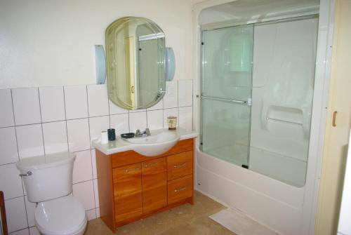 un bagno con wc, lavandino e doccia di Samoan Highland Hideaway a Siusega