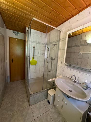 a bathroom with a shower and a sink at Altmarkblick in Erbenhausen