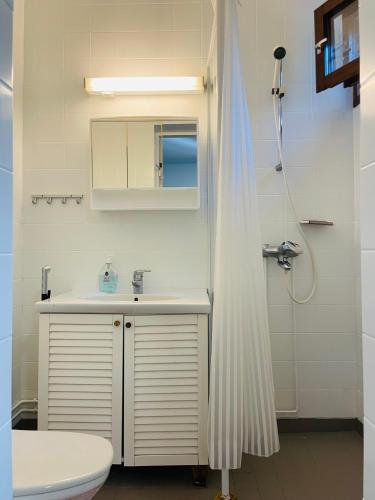 a bathroom with a sink and a toilet and a shower at Voionmajoitus in Ylöjärvi