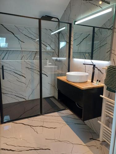 a bathroom with a shower and a sink and a tub at T3 le caoulet, 3 pers, 3lits, wifi, climatisation in Foulayronnes