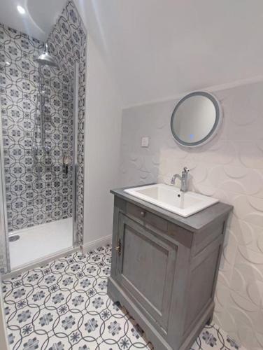 une salle de bain avec un lavabo et une douche avec un miroir dans l'établissement Belle de Nuit, à Saint-Satur