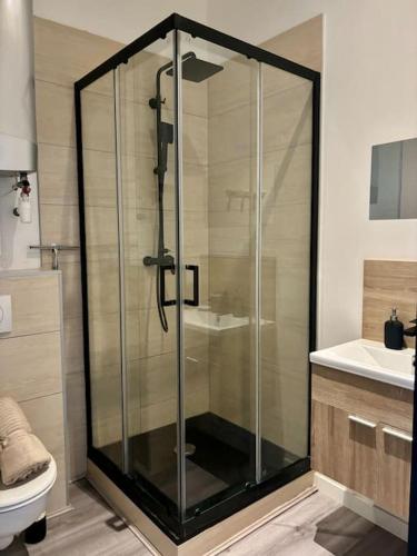 une douche avec une porte vitrée dans une salle de bain dans l'établissement Studio fonctionnel, centre ville, rénové 205, à Saint-Étienne