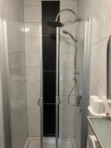 a shower with a glass door in a bathroom at Gästehaus Elisabeth Bach in Mehring