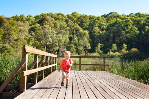 BIG4 Yarra Valley Park Lane Holiday Park, Healesville (updated prices 2024)