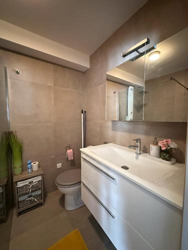 une salle de bain avec un lavabo, des toilettes et un miroir dans l'établissement Un été à Cannes, Studio cosy à 10' de la Croisette, à Cannes