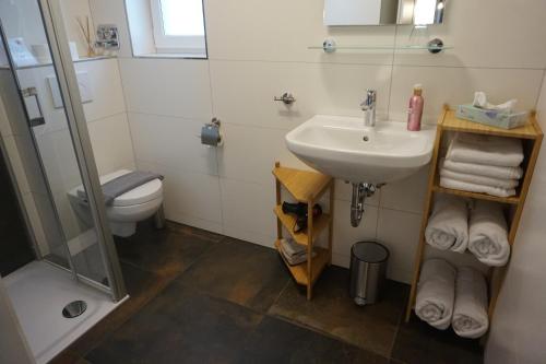 a bathroom with a sink and a toilet and a shower at Wohnung 1 im Kirschblütenhof in Ingelheim am Rhein
