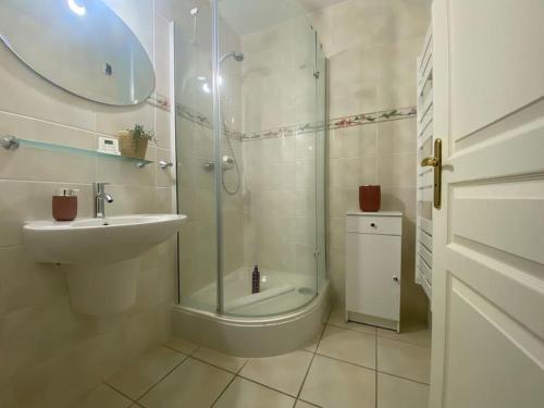 une salle de bain avec une douche, un lavabo et des toilettes dans l'établissement Au Bonheur des Roses, parking, terrasse & jardin, à Veyrier-du-Lac