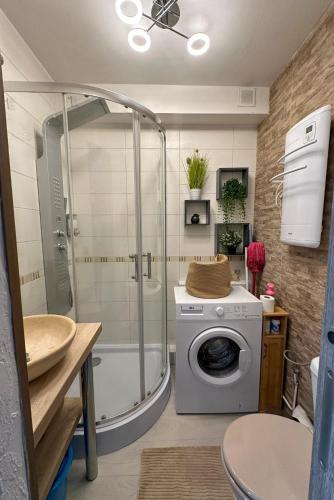 une salle de bain avec douche et machine à laver dans l'établissement Cet été à Cannes, Studio cosy à 8' de la Croisette, à Cannes