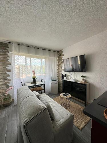 Cet été à Cannes, Studio cosy à 8' de la Croisette