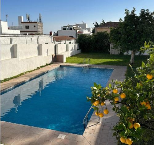 a swimming pool in the backyard of a house at Zen Den Coliving - For Digital Nomads Only in Arona