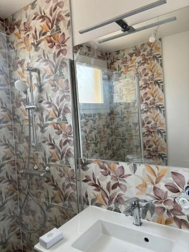 une salle de bain avec un lavabo et une douche avec un miroir dans l'établissement Maison entière 4 chambres, à Le Blanc