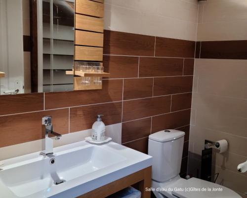 une salle de bain avec un lavabo et des toilettes dans l'établissement Le Gatu by Les Gîtes de la Jonte, à Gatuzières