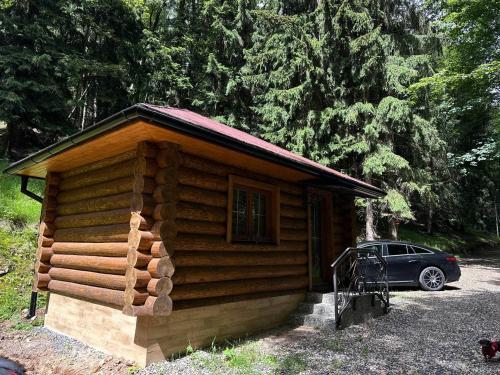 Chata LESNÍ - "Lesni Udoli"