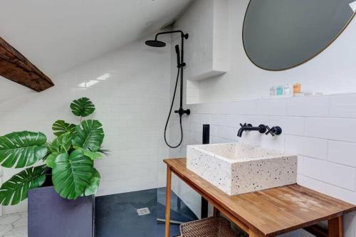 une salle de bain avec un lavabo et une douche dans l'établissement Loft place des Vosges, à Paris