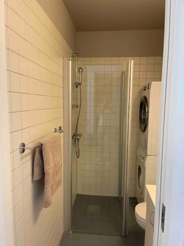 a bathroom with a shower with a toilet and a sink at Tjuvholmen - balcony with seaview & 2 bedrooms in Oslo