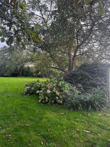 a tree in a field with a bunch of flowers at Melkhuisje in Dendermonde