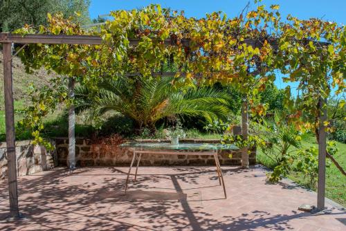 Zahrada ubytování Villa Penta