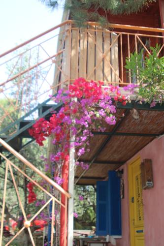 Κήπος έξω από το SOULIS GUESTHOUSE