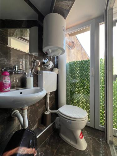a bathroom with a toilet and a sink at Berić Rooms in Šabac