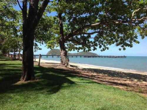 two trees on a beach with a pier in the water at Palm Cove Studio Apartments in Palm Cove
