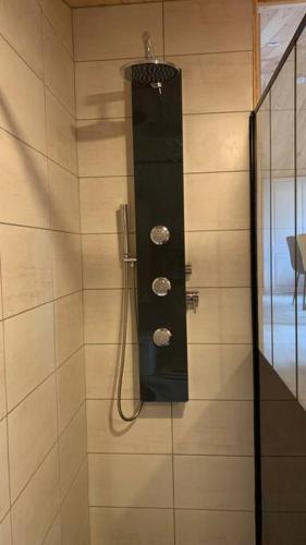 La salle de bains est pourvue d'une douche avec 3 rochers. dans l'établissement Gîte du Lilas, à Mortagne