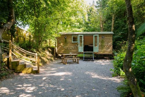 a wooden cabin in the middle of a forest at Bijoux Shepherds Hut Lyme Regis in Lyme Regis
