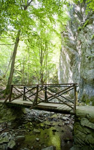 a wooden bridge over a creek with a waterfall at Family Hotel Teteven in Teteven