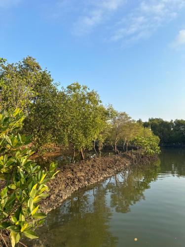 a river with trees on the side of it at Igid Puttot Guest Cabins in Bangcusay
