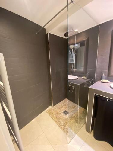 une salle de bain avec une douche en verre et un lavabo dans l'établissement CANNES CALIFORNIE, WINTER PALACE, à 2 pas de la rue d'Antibes et des plages de la Croisette, à Cannes